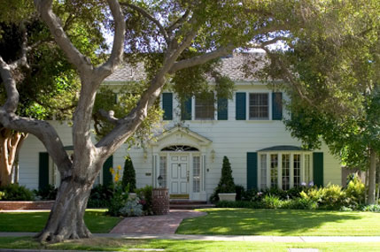 white house with trees